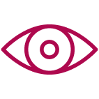 Vision Icon